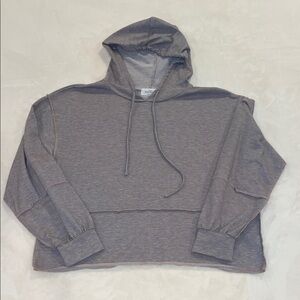 Kaileigh Women’s Gray Cropped Hoodie – Size L | Cozy Bella Swan Style